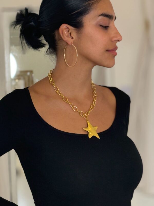Collar akita gold